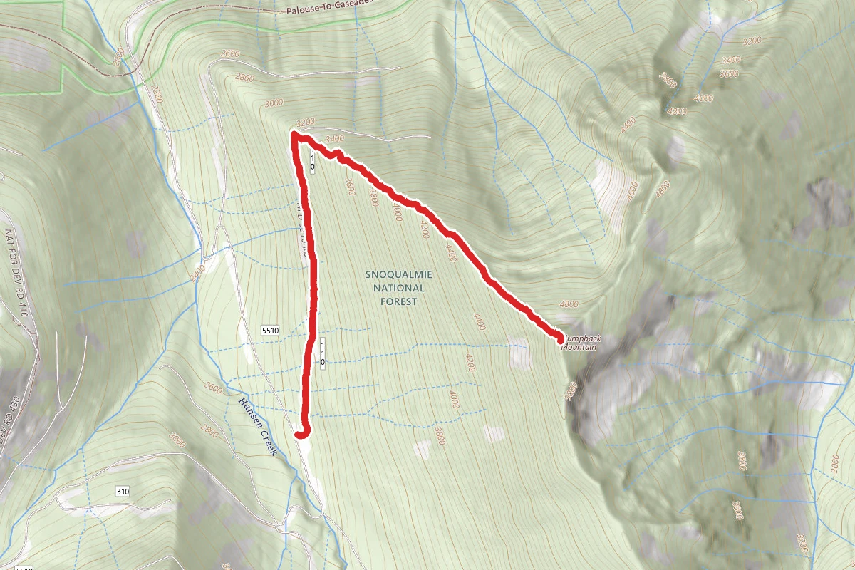 Humpback Mountain Trail