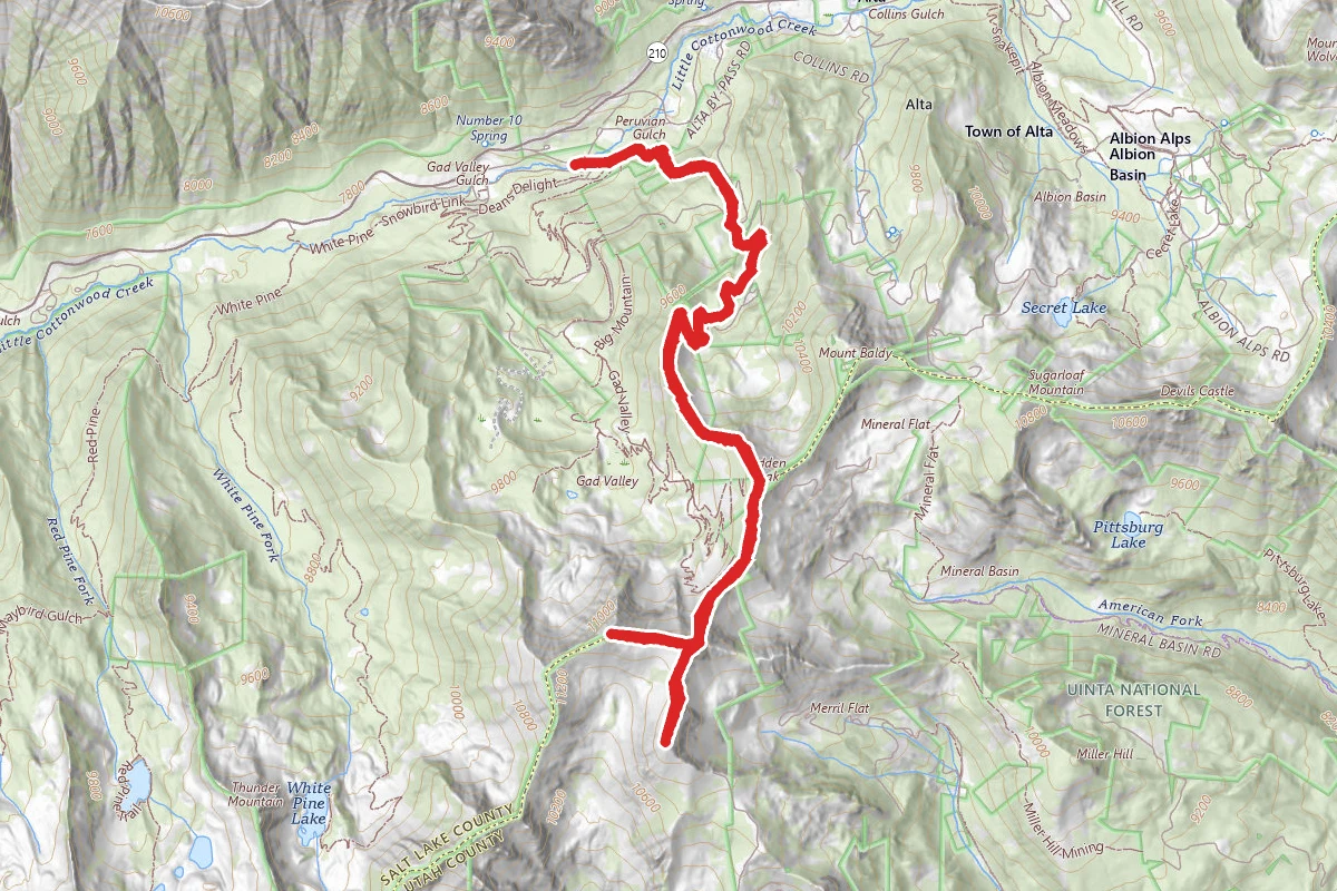 Snowbird Ridge Twin Peaks Trail