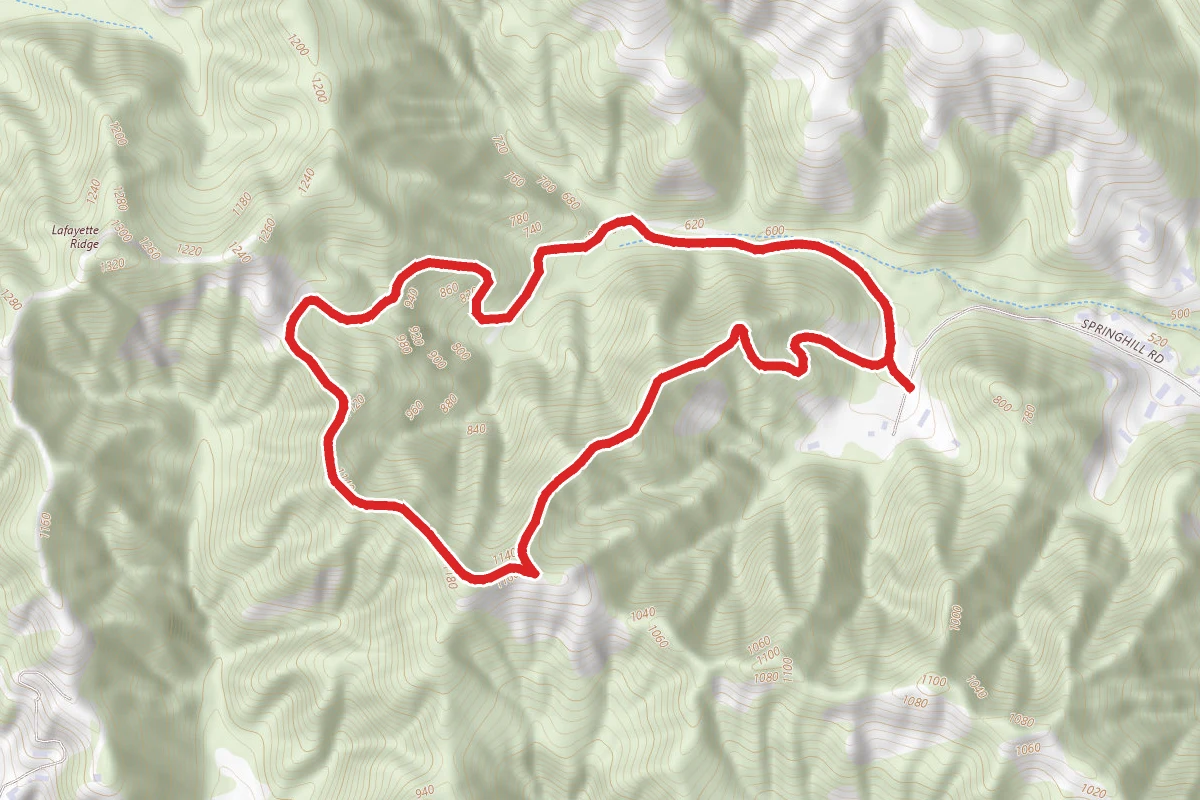 Springhill to Buckeye Ranch Loop