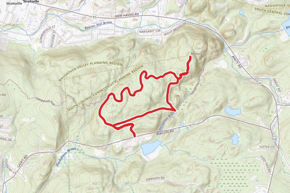 Beacon Cap via Whittemore, Naugatuck, and Beacon Cap Trails