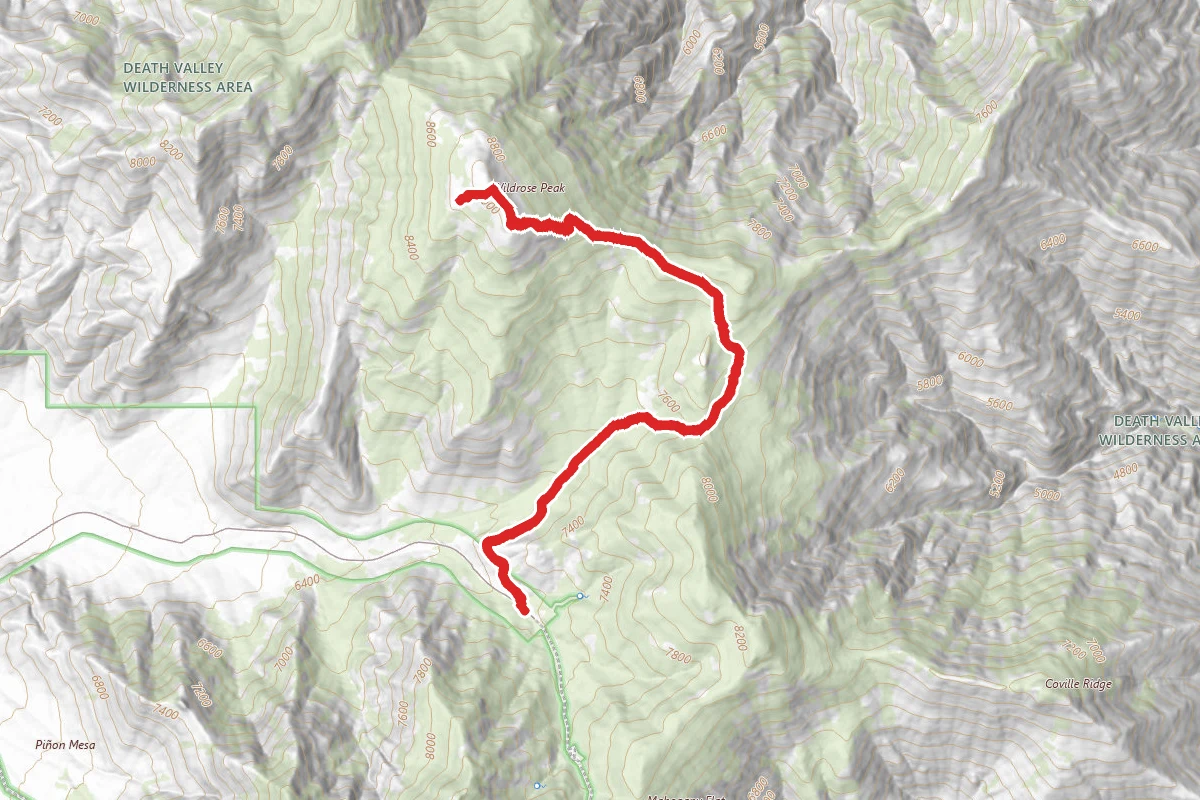 Wildrose Peak Trail