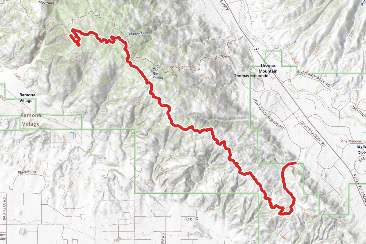 Thomas Mountain Trail