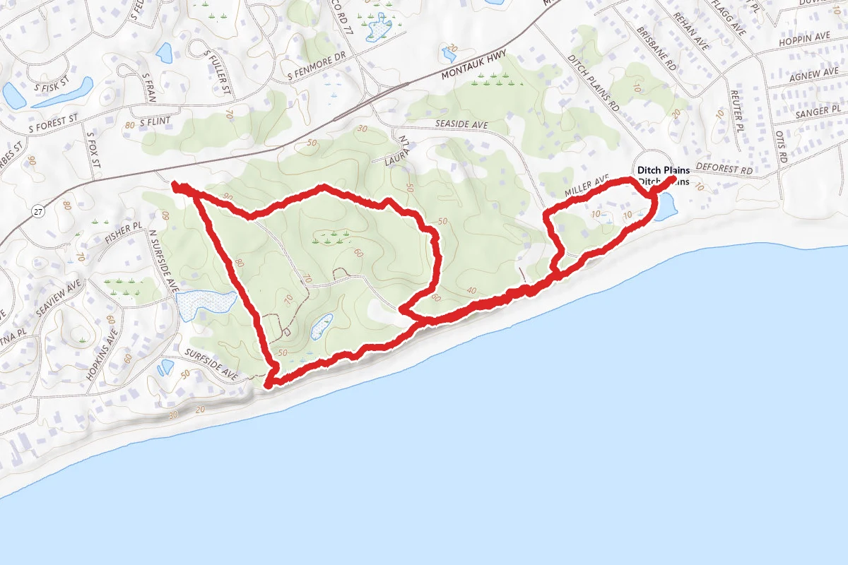 Shadmoor State Preserve Trail