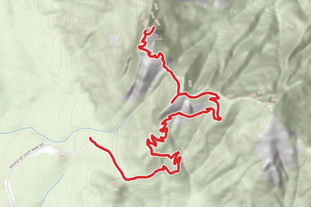 Saddle Mountain Trail
