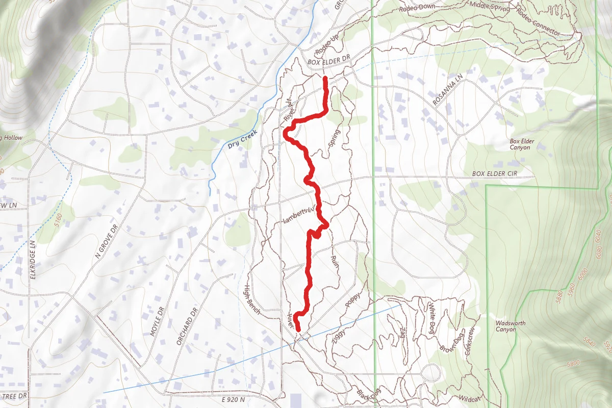 Middle