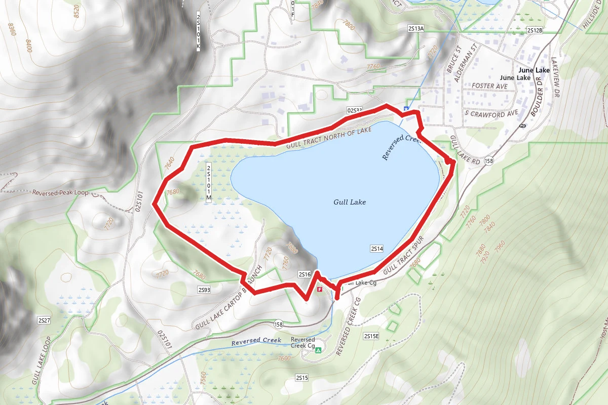 Gull Lake Loop