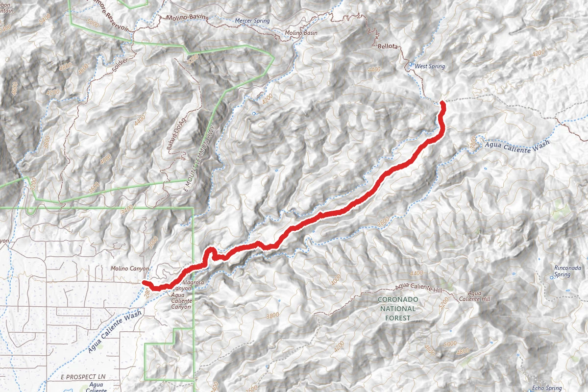 Milagrosa- Canyon Trail