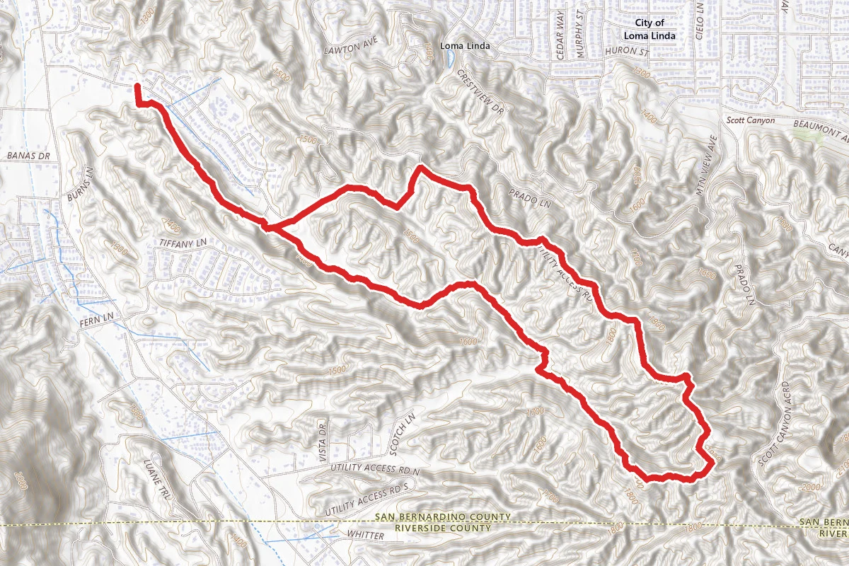 Hidden Bear Trail