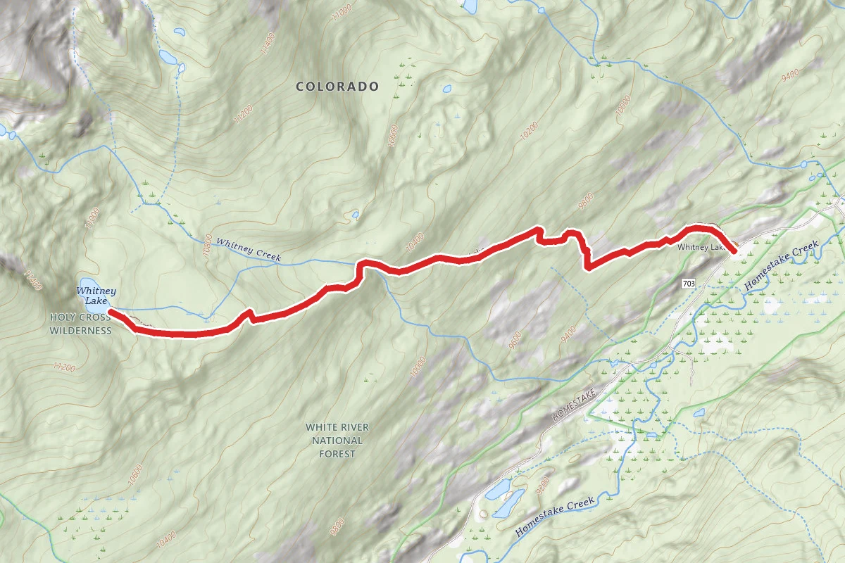 Whitney Lake Trail