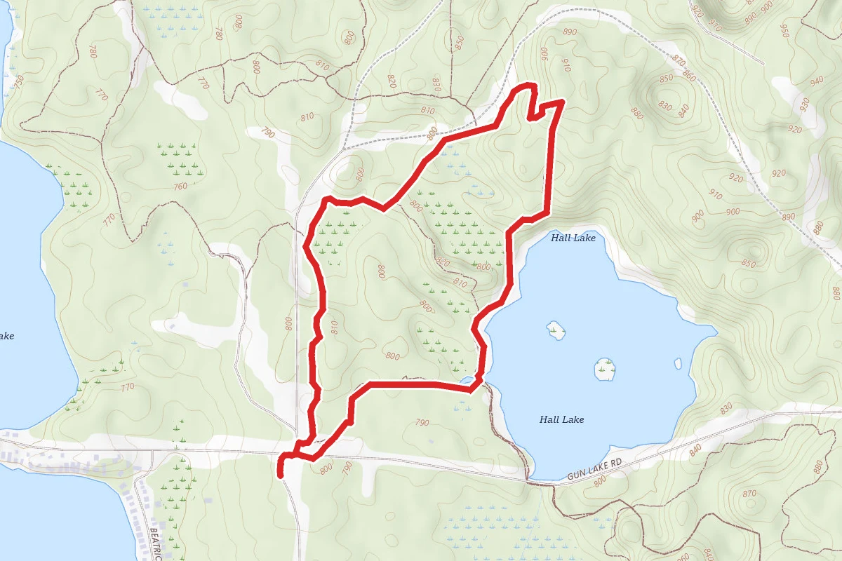Graves Hill Overlook and Hall Lake Loop
