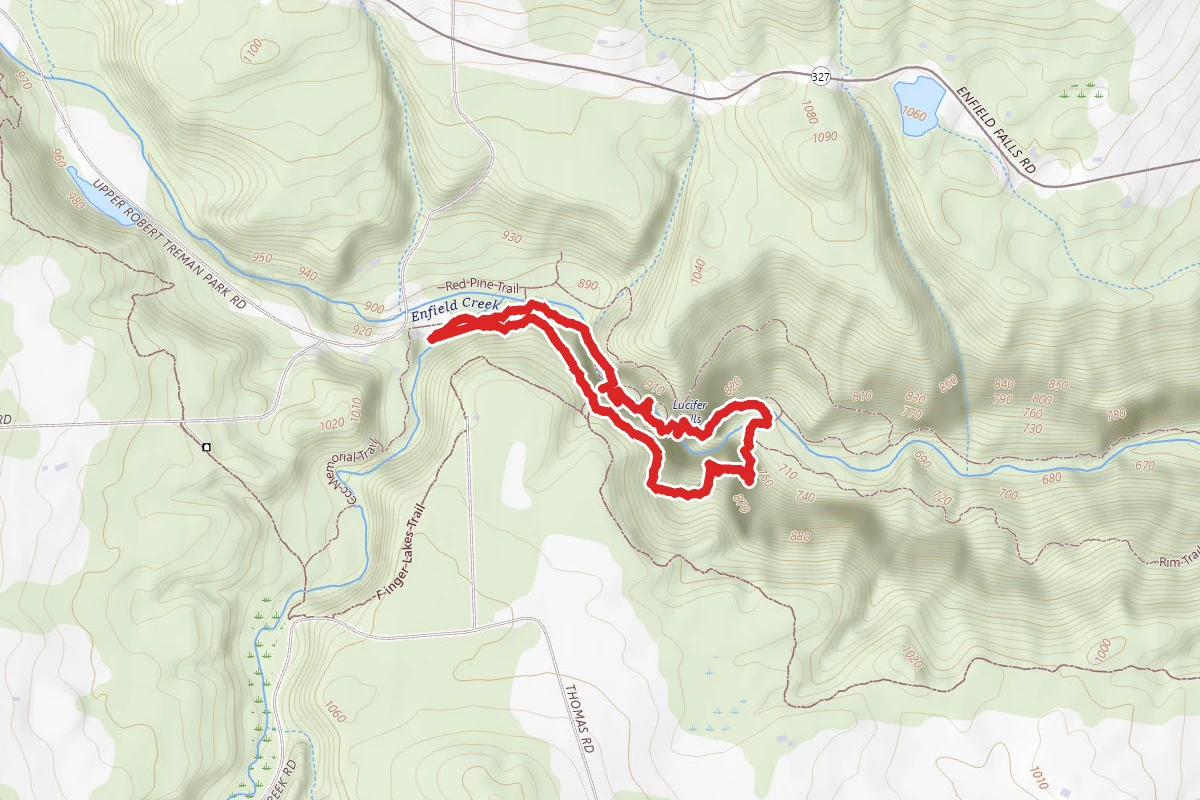Enfield Creek Gorge Trail and Rim Trail Short Loop