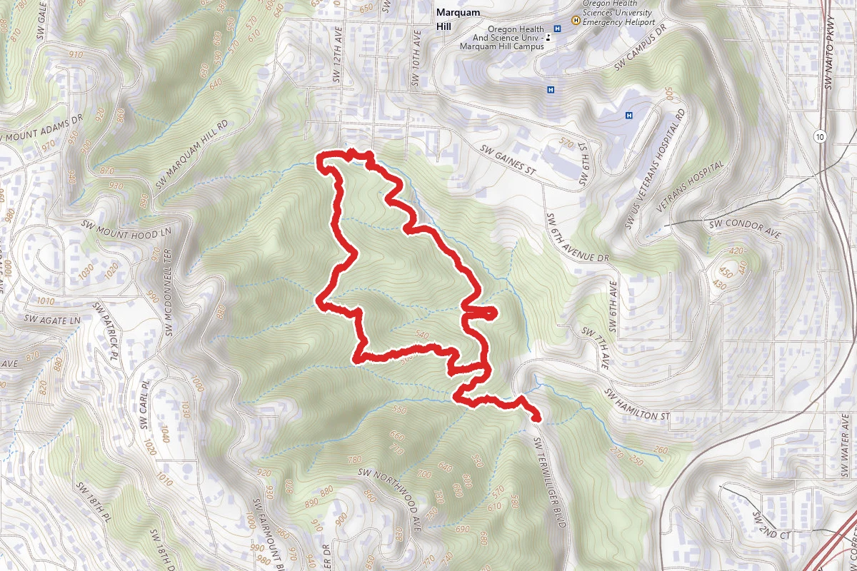 Marquam and Flicker Trail Loop