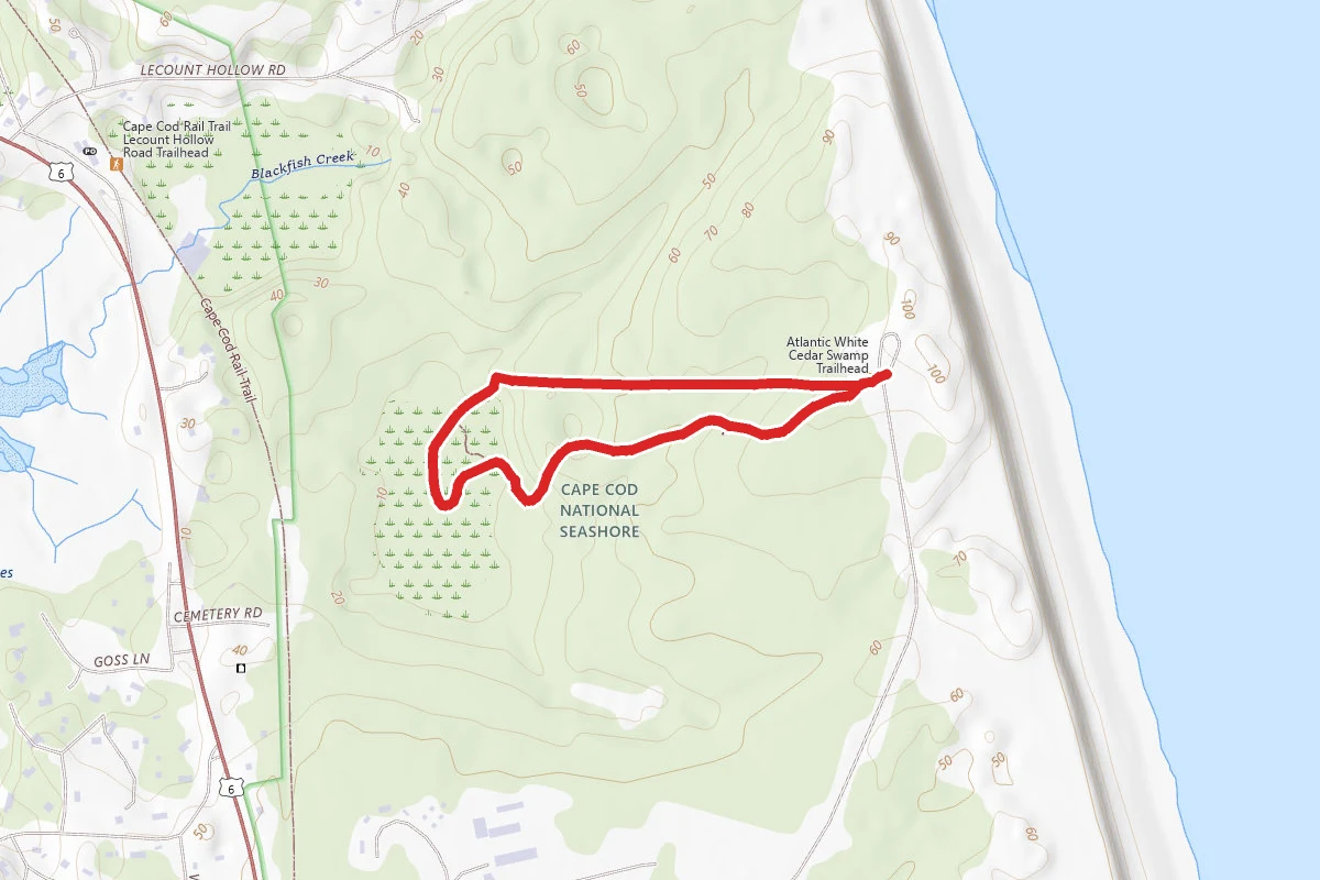 Atlantic White Cedar Swamp Trail