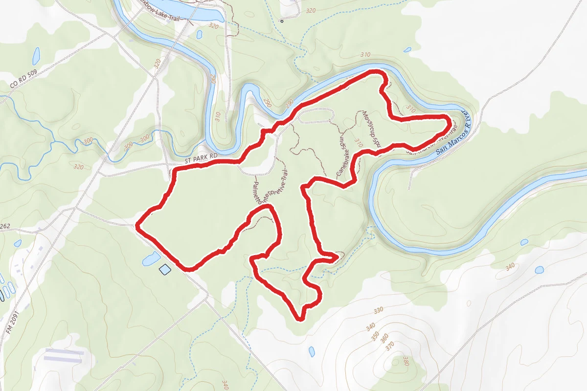 San Marcos River, Mesquite Flats, and Ottine Swamp Trails