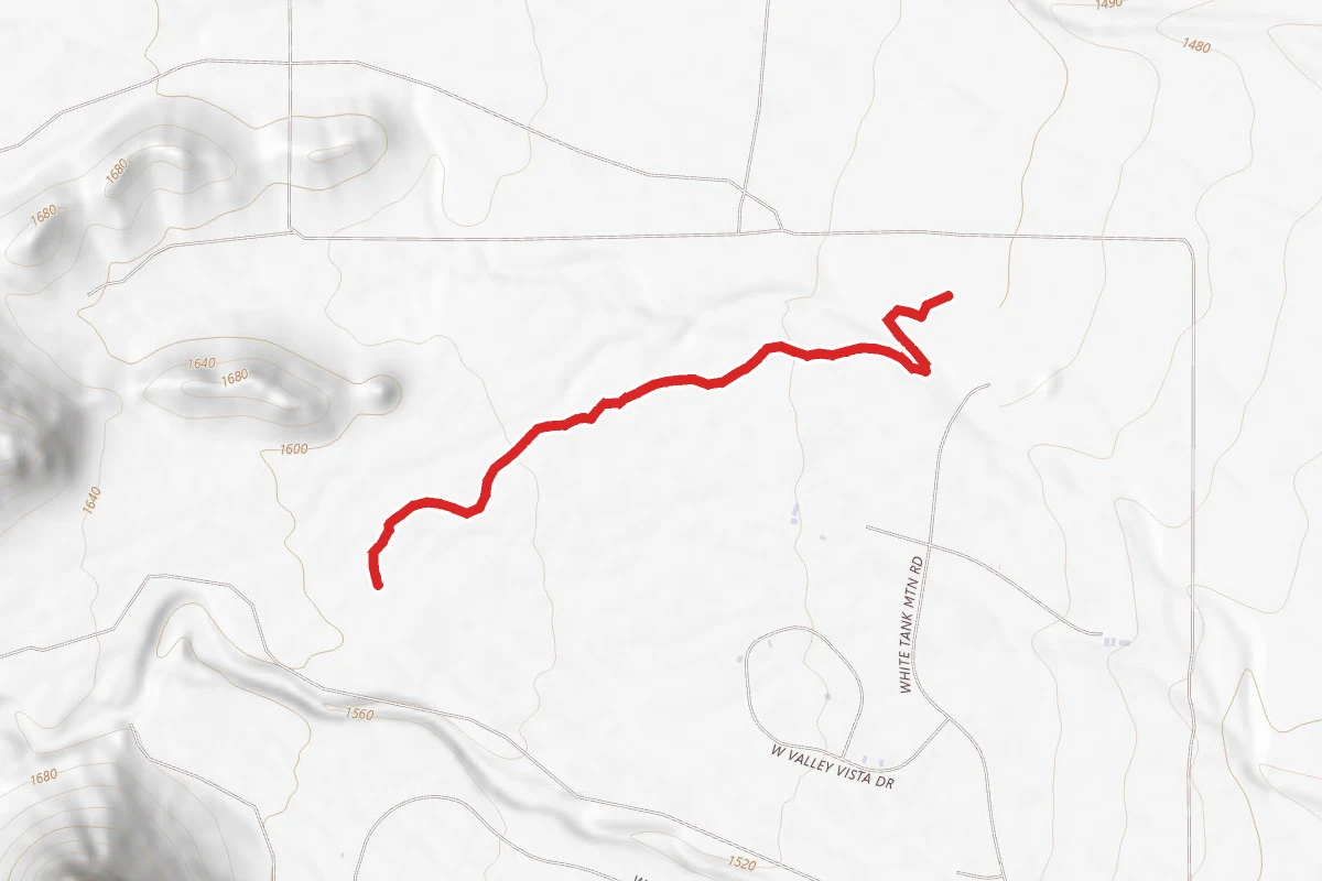 Gray Fox Trail