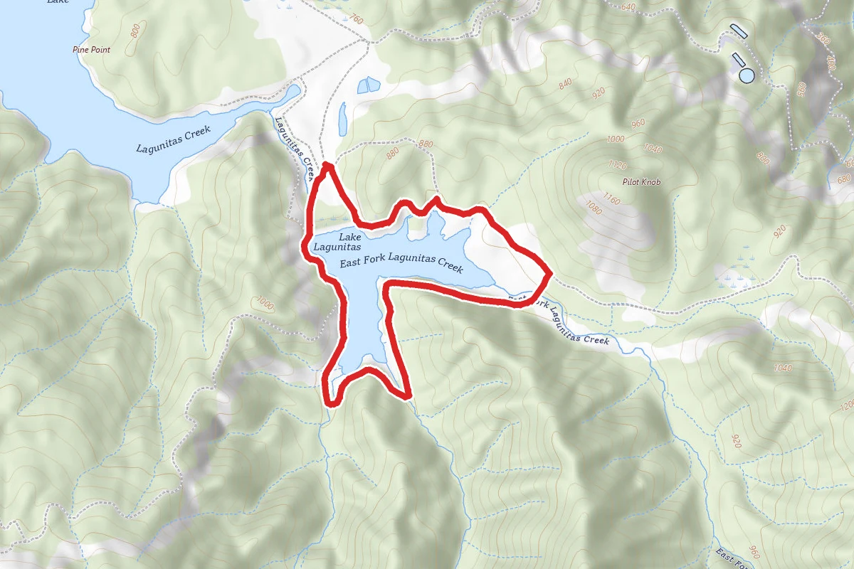 Lake Lagunitas