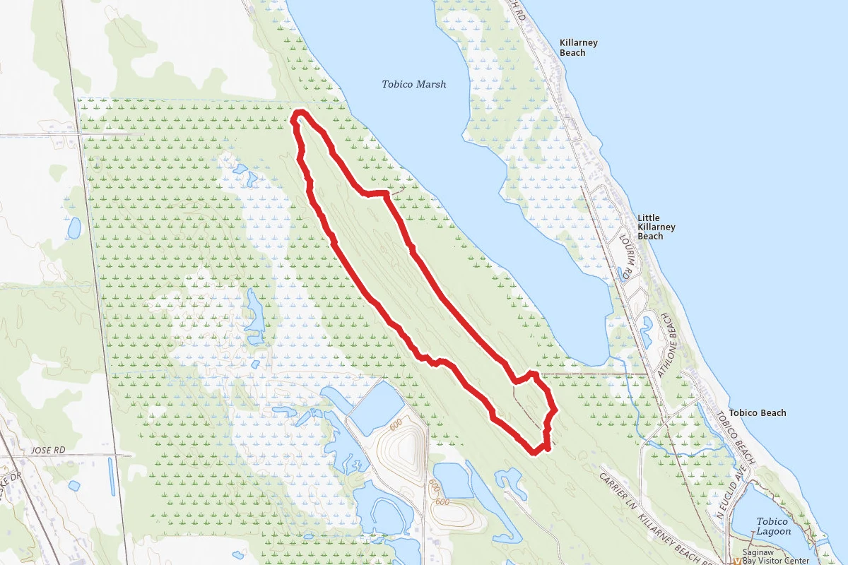 Tobico Marsh Trail