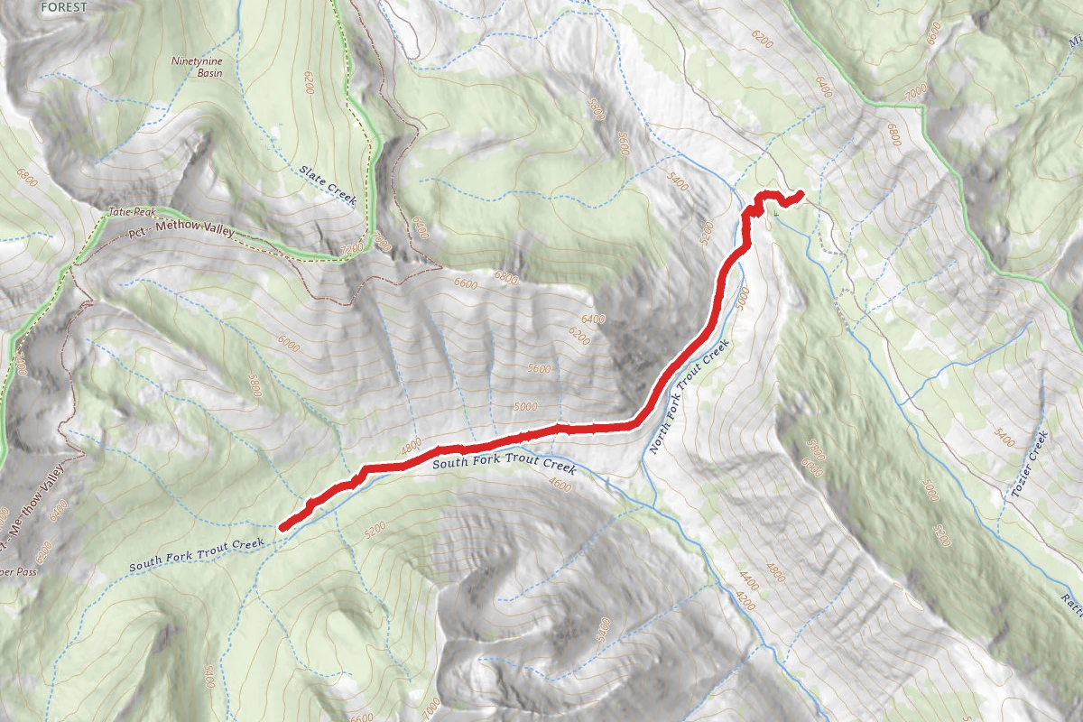 Trout Creek