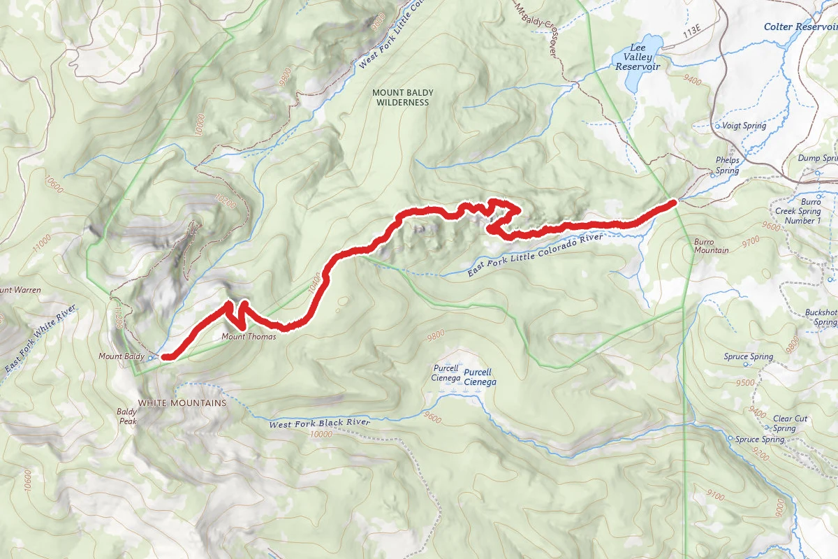 Mount Baldy via East Baldy Trail #95