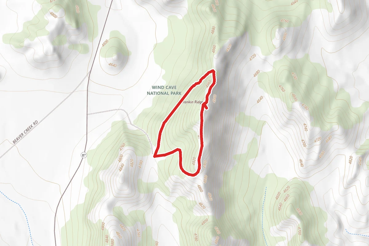 Rankin Ridge Interpretive Trail