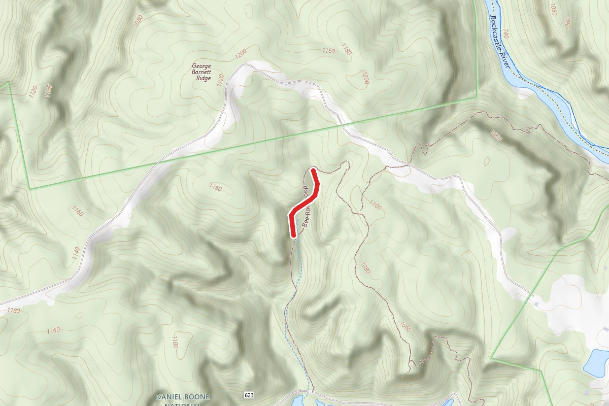 Bee Rock Loop