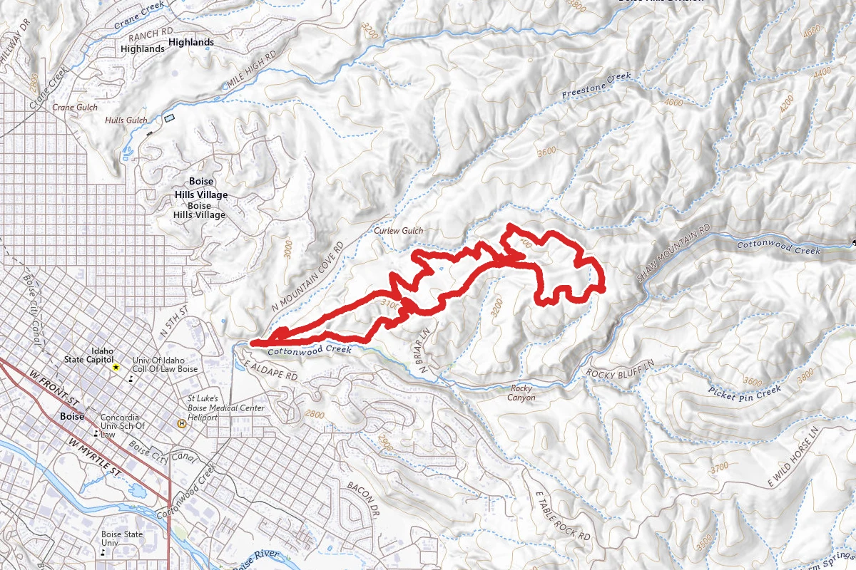 Bucktail, Shane's, and the Central Ridge Trails