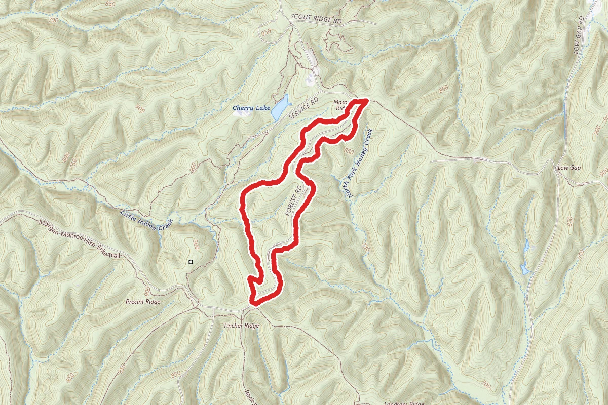 Mason Ridge Trail