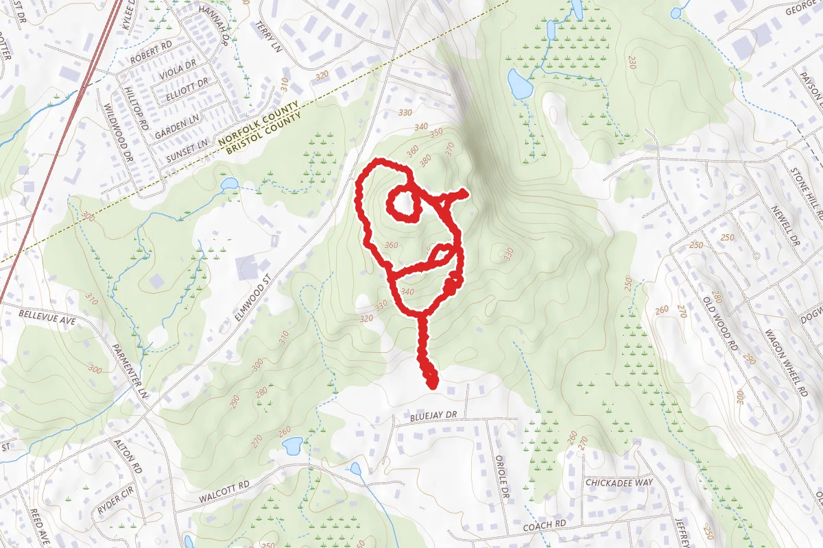 WW1 Memorial Park Loop