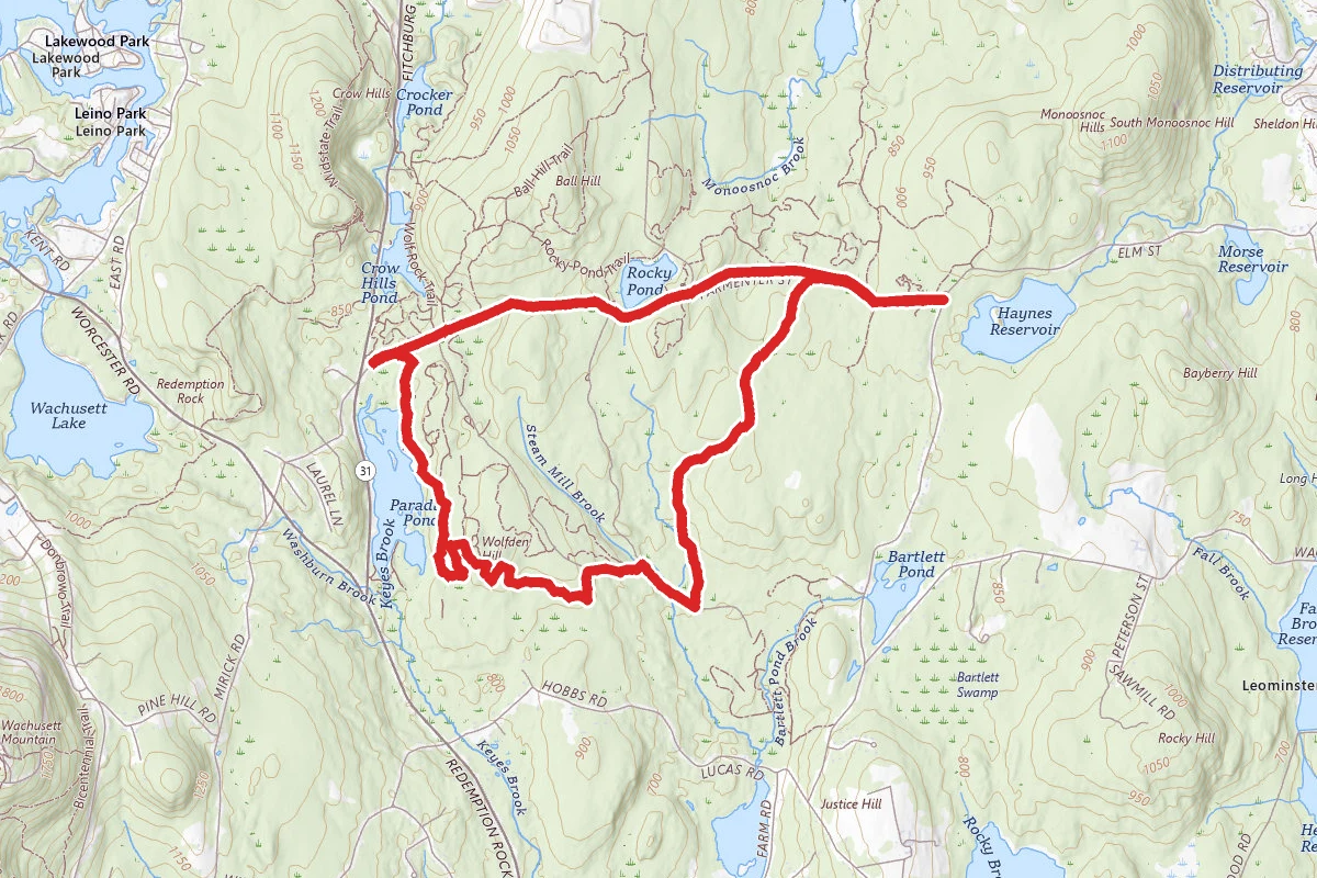 Rocky Pond and Brook Road Loop