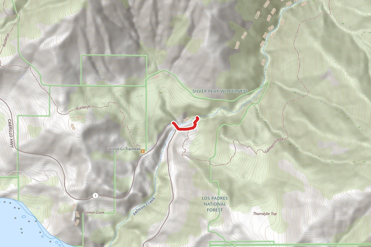 Salmon Creek Trail to Salmon Creek Falls