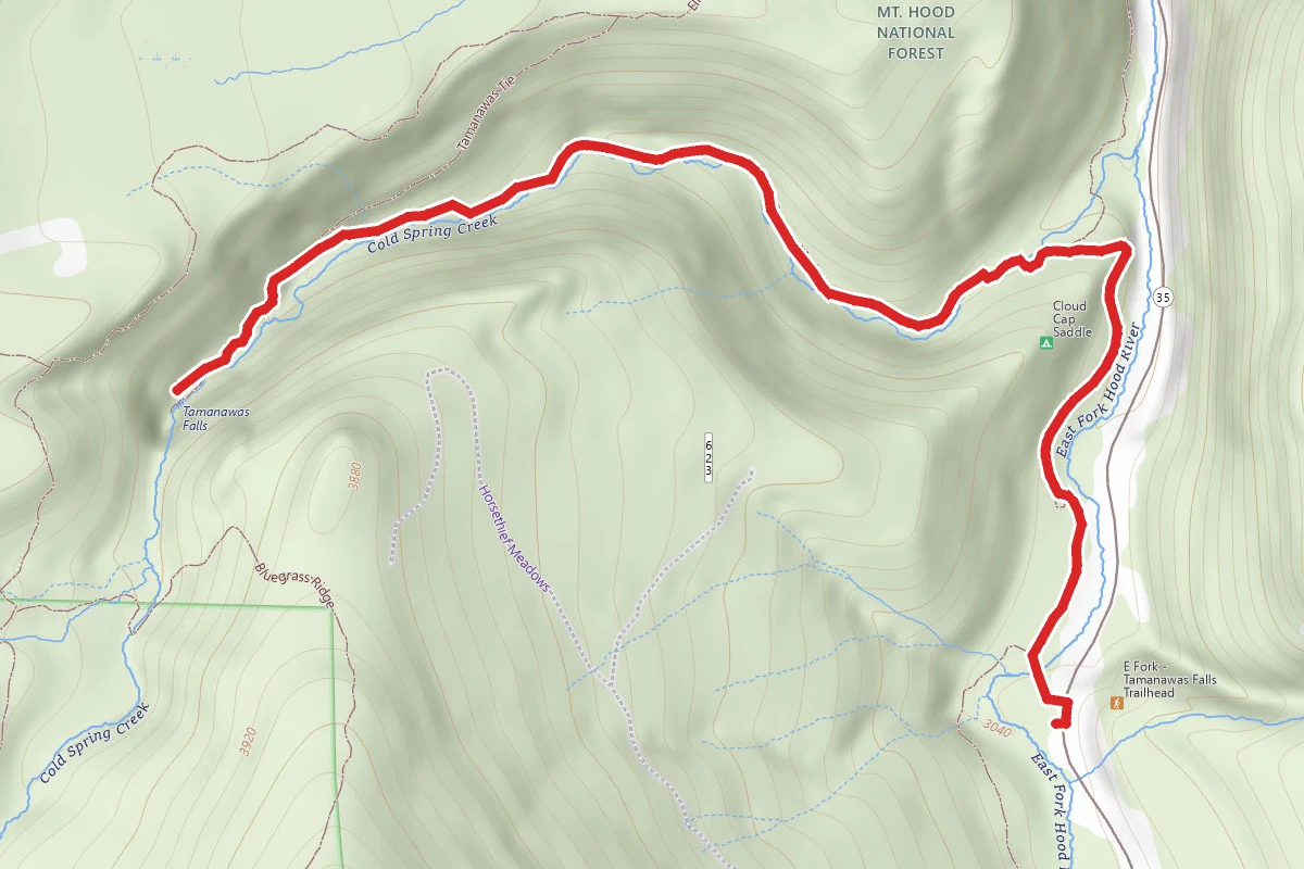 Tamanawas Falls Trail