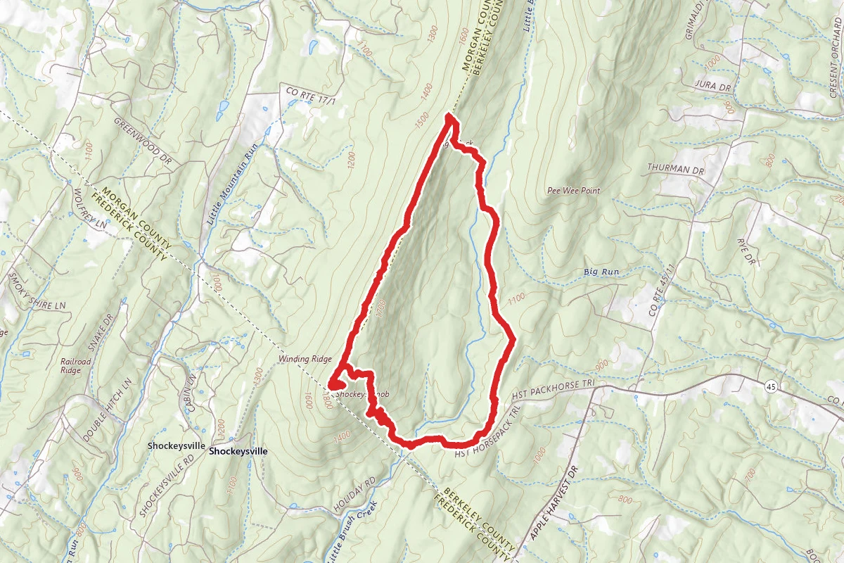 Shockeys Knob via Tuscarora Trail