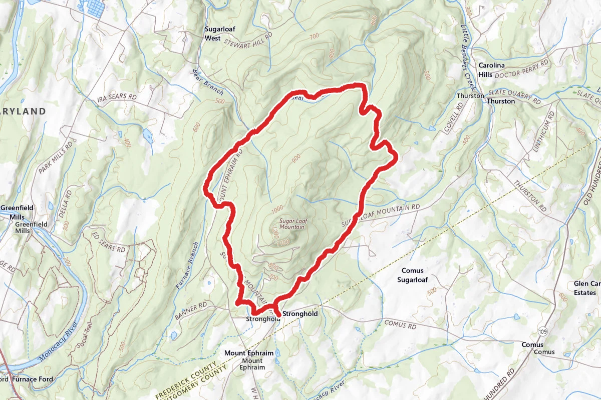 Sugarloaf Yellow Trail