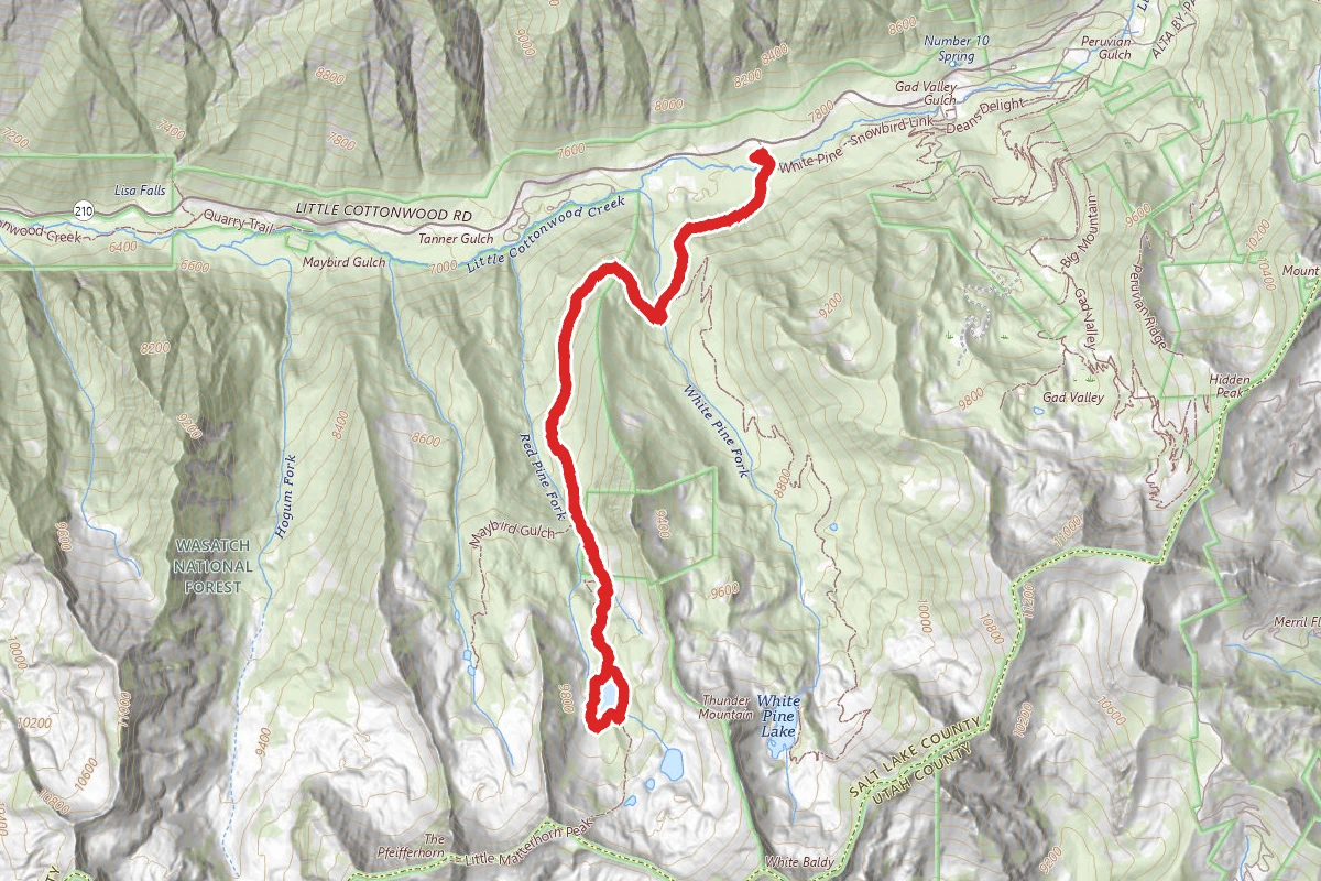 Red Pine Lake Trail