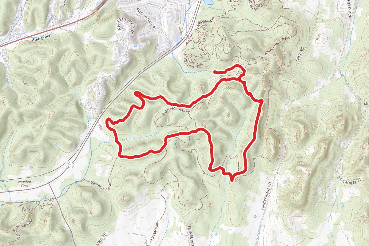 Mossy Ridge Trail