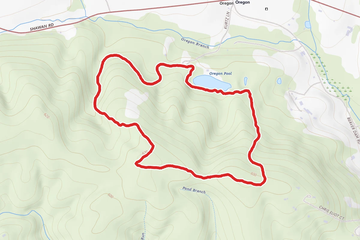 Loggers and Lake Trail Loop