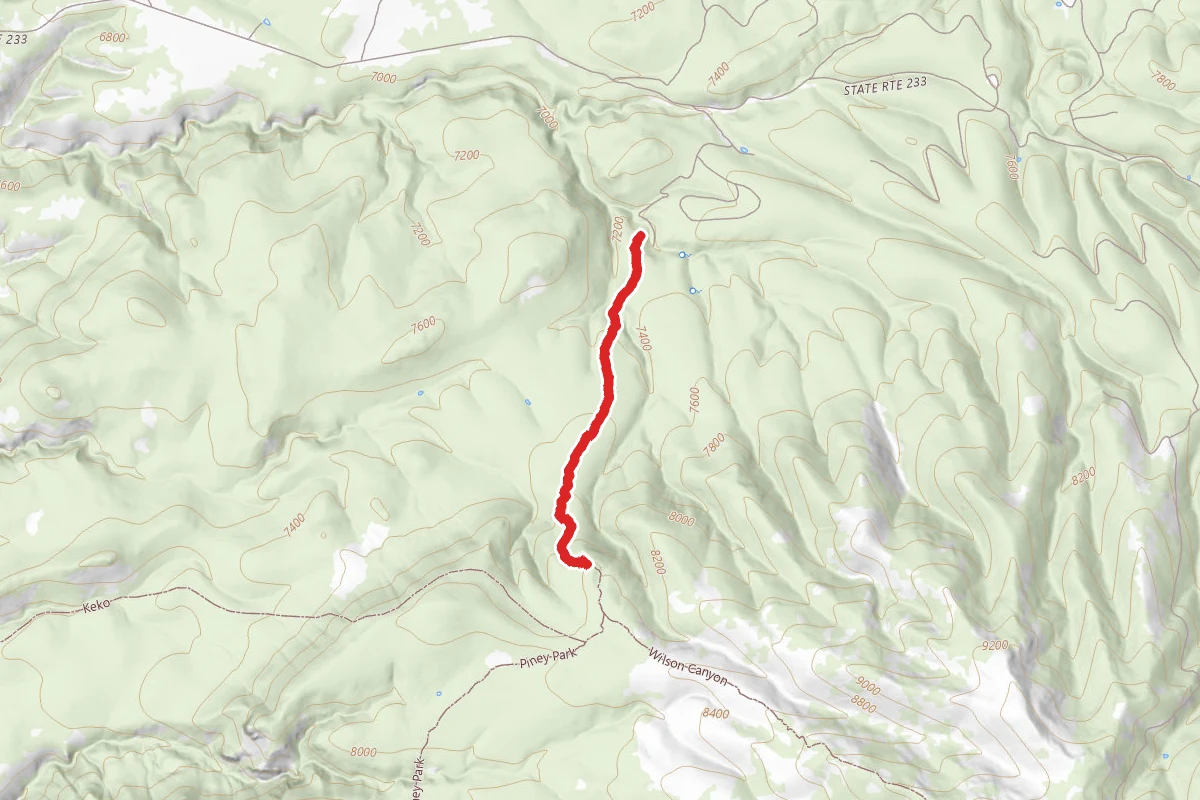 Wilson Canyon