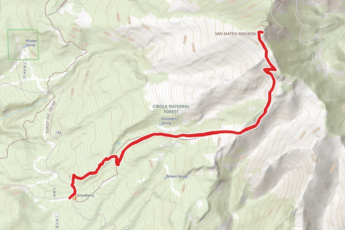 Mount Taylor via Gooseberry Trail
