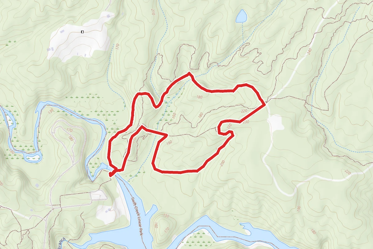Forest Exploration Trail