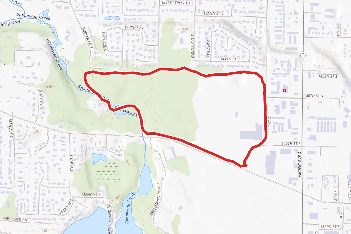 Bresemann Forest Trail