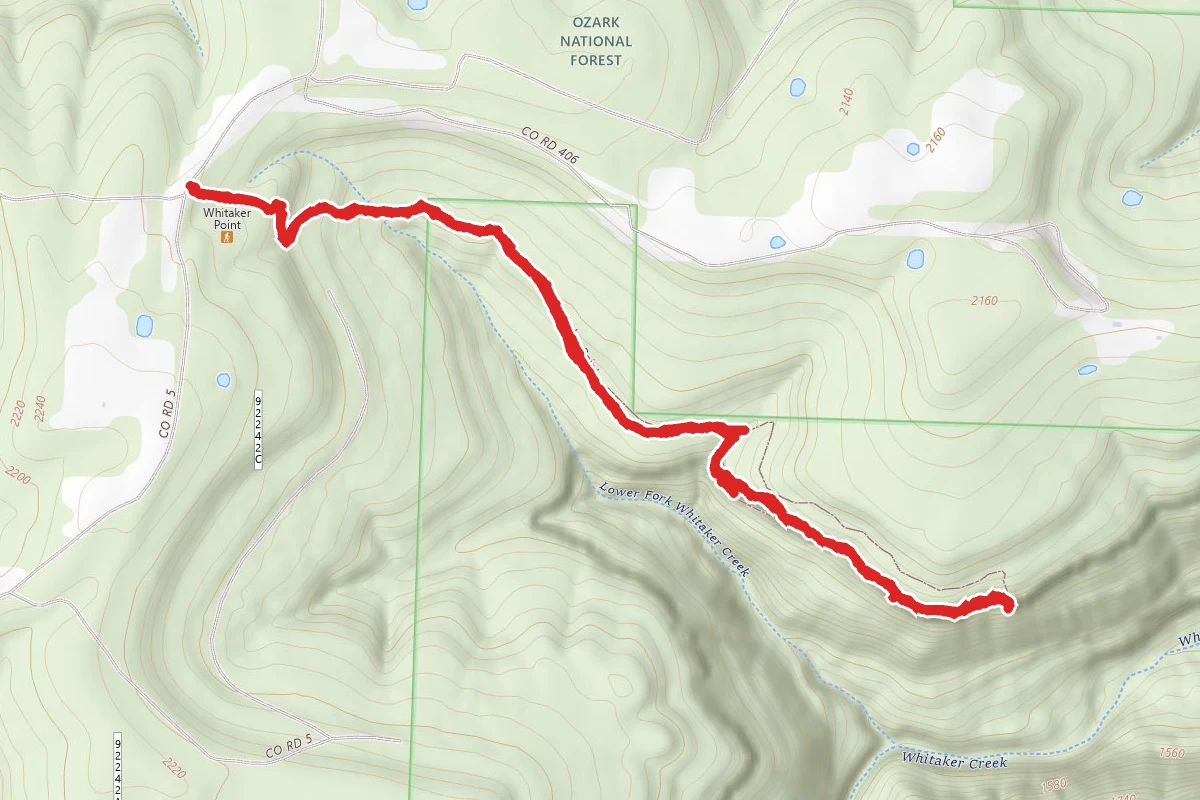Whitaker Point Trail (Hawksbill Crag)