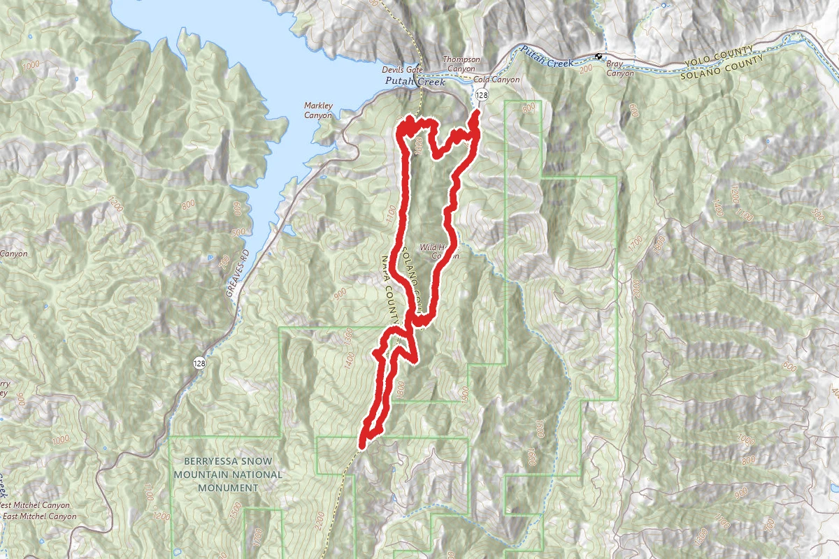 Homestead, Tuleyome Peak, and Blue Ridge Loop