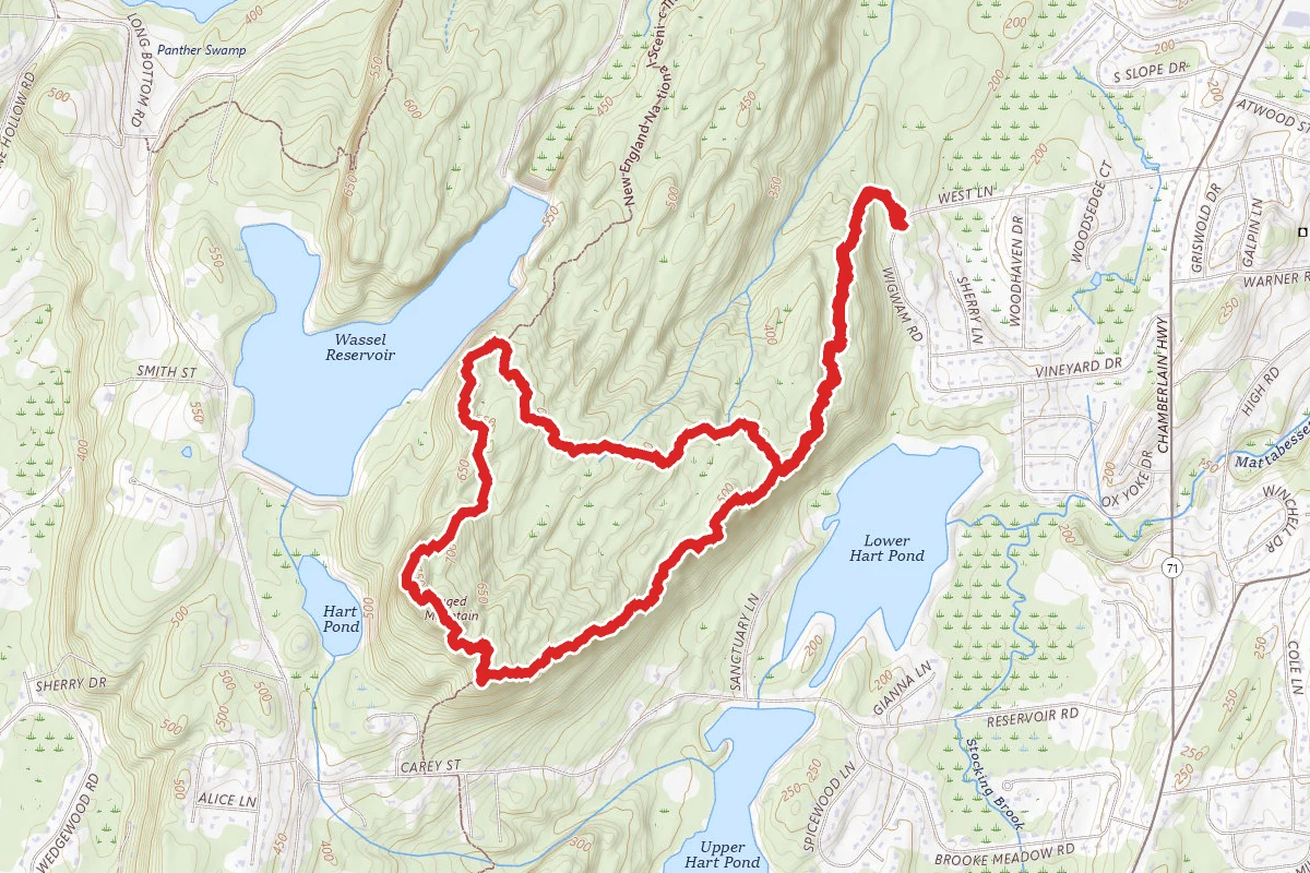 Metacomet Trail to Blue and Yellow Trail Loop