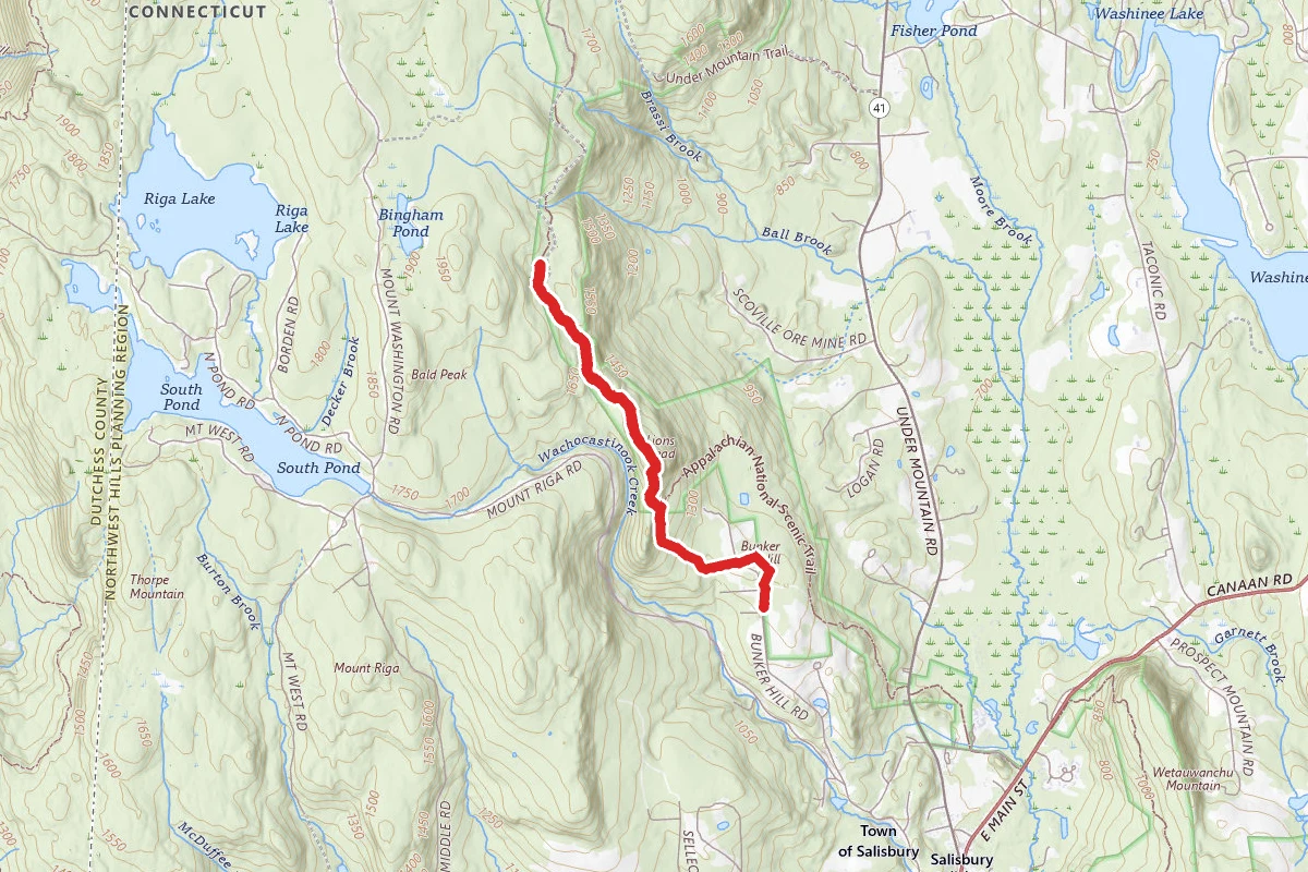 Lion's Head Trail