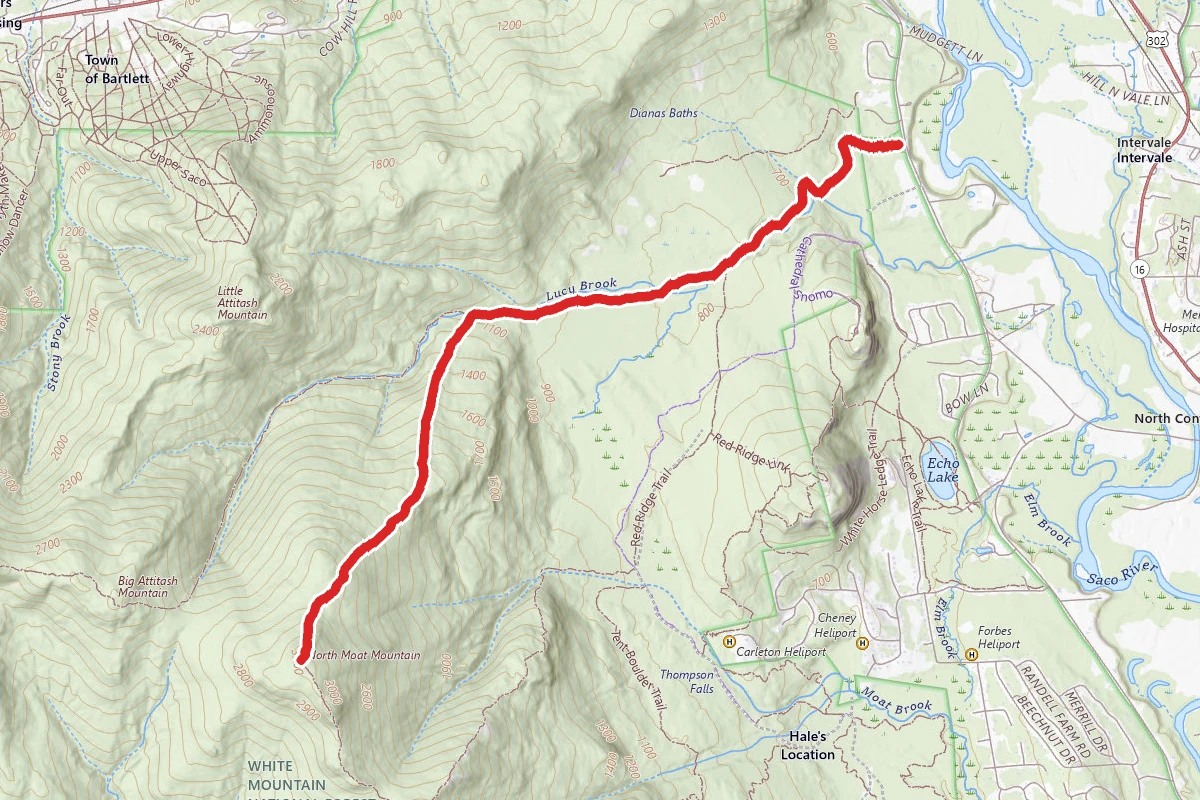 Moat Mountain Trail