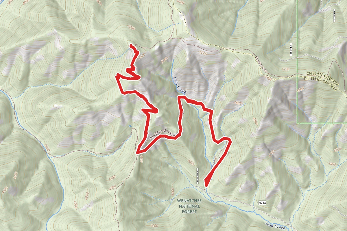 Iron Bear Trail #1351