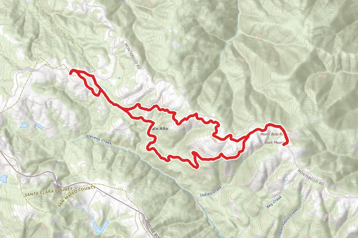 Monte Bello Black Mountain Loop