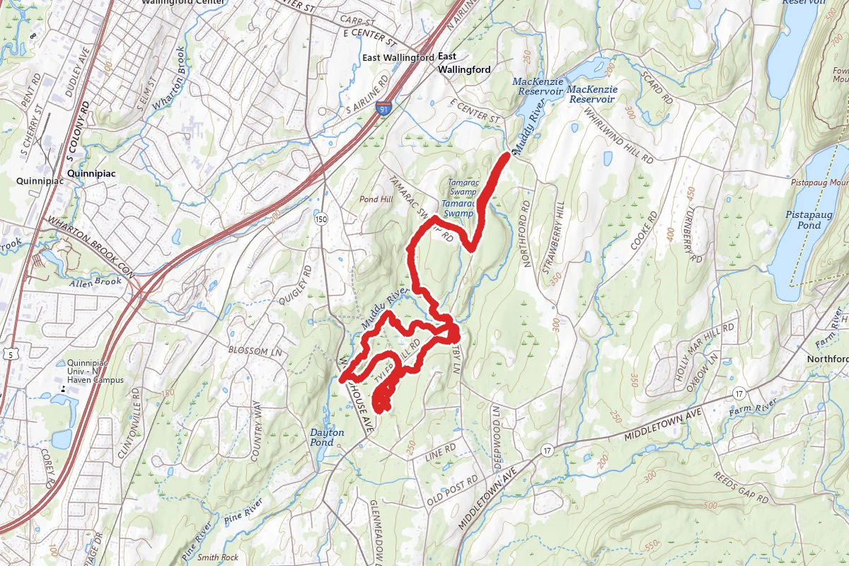 Tyler Mill Run Trail