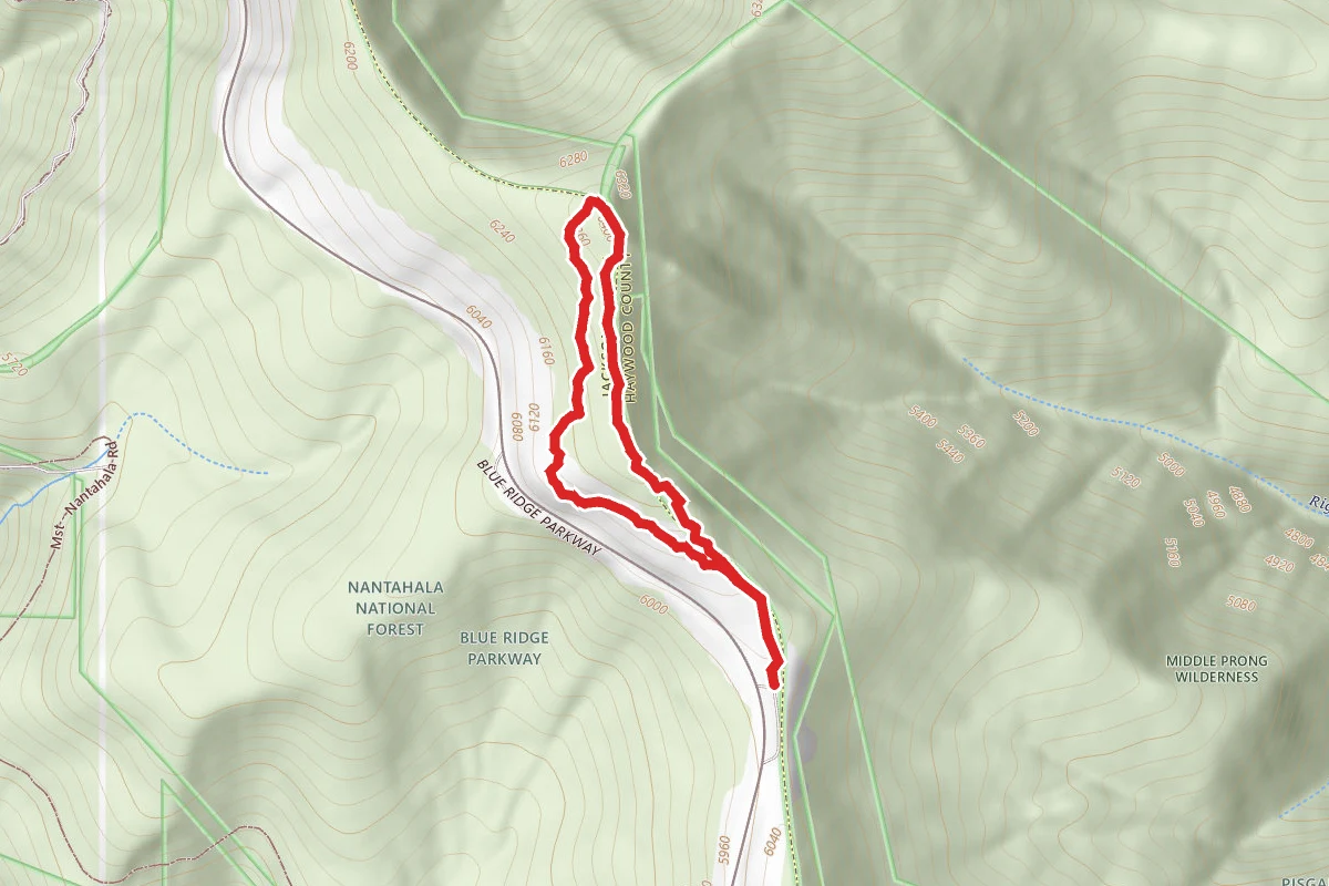 Richland Balsam Nature Loop Trail