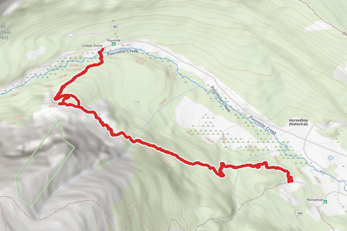 Limber Grove Trail